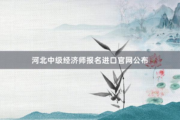 河北中级经济师报名进口官网公布